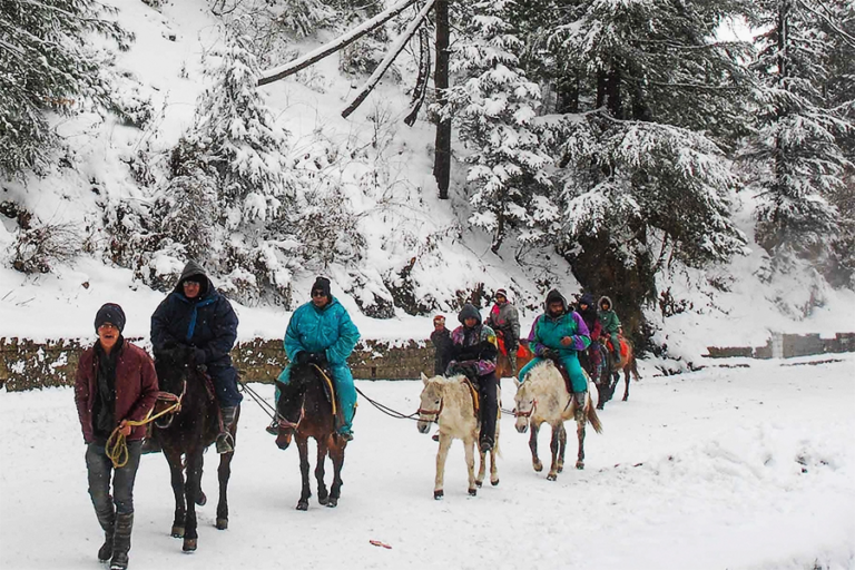 Horseback Riding in Kufri