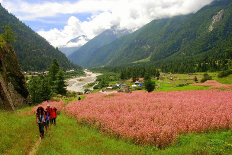 Trekking in Sangla Valley