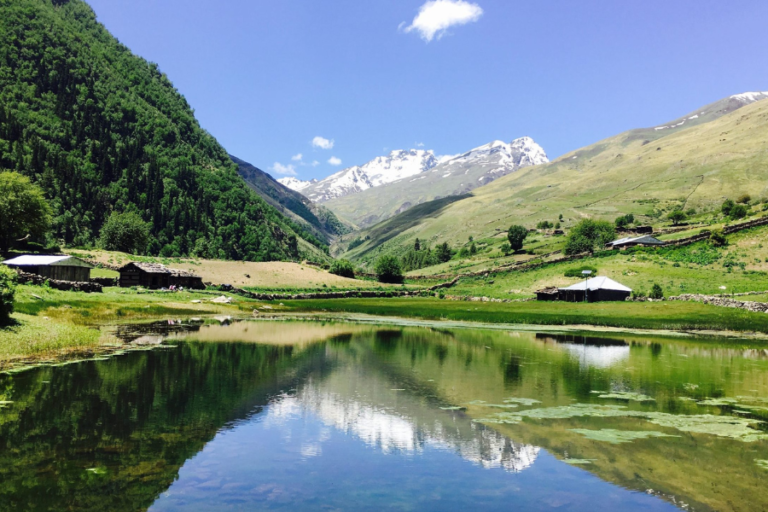 Sangla Meadow