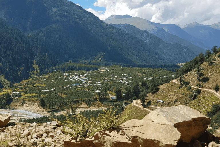 Nature Walks and Bird Watching in Sangla Valley