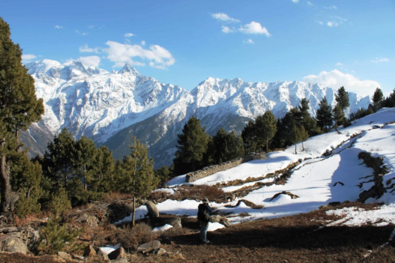 Chakka Meadows