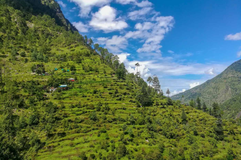 Nagini in Tirthan Valley